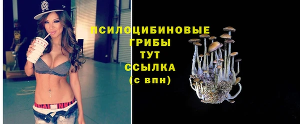 ALPHA-PVP Козельск