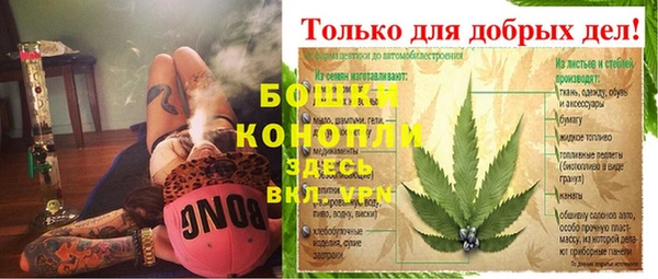дмт Кодинск
