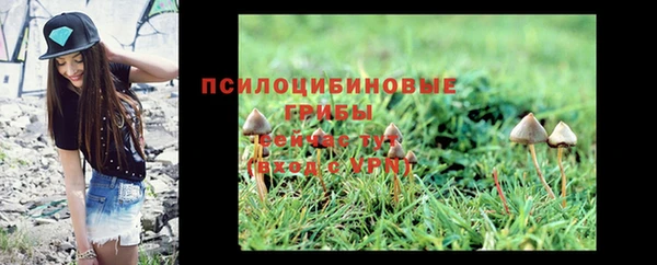 первитин Покровск