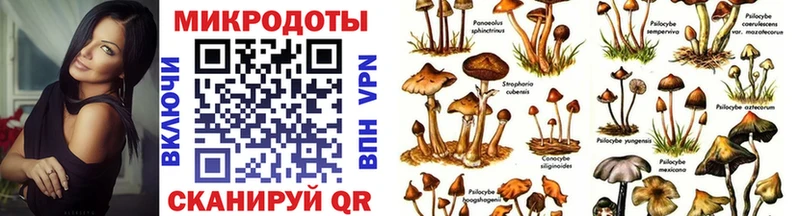 Галлюциногенные грибы мухоморы наркотики Звенигово